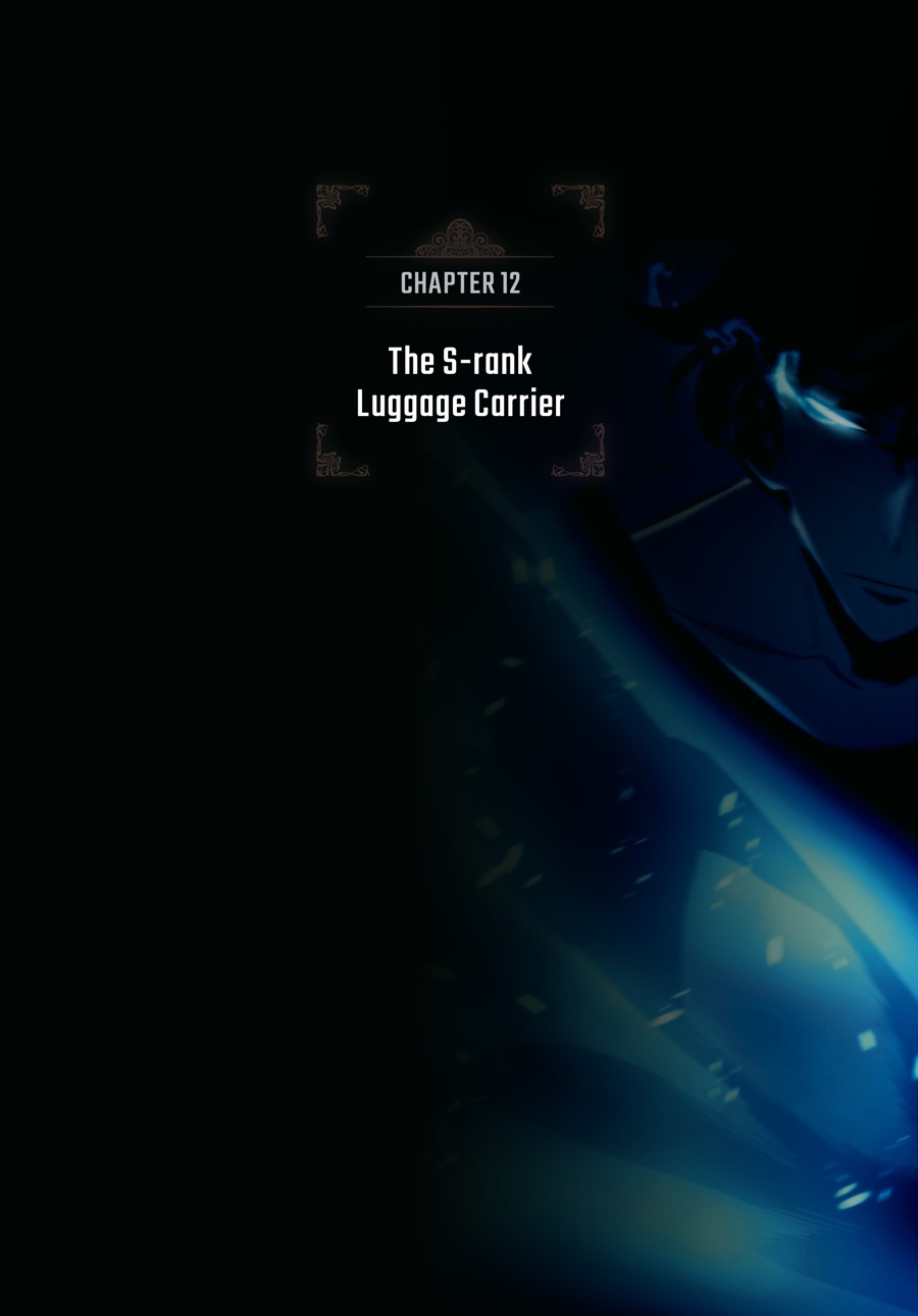 Solo Leveling